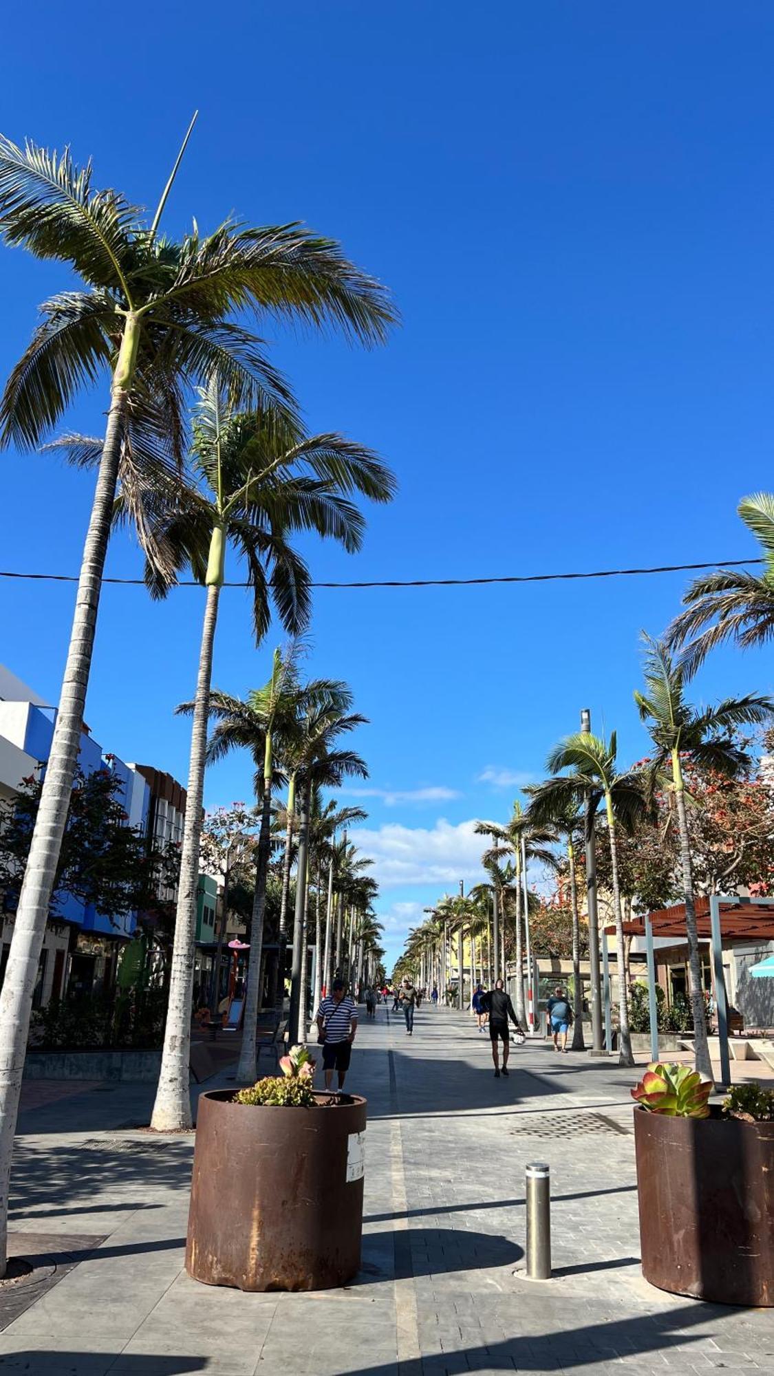 Mirame Canarias Весиндарио Экстерьер фото